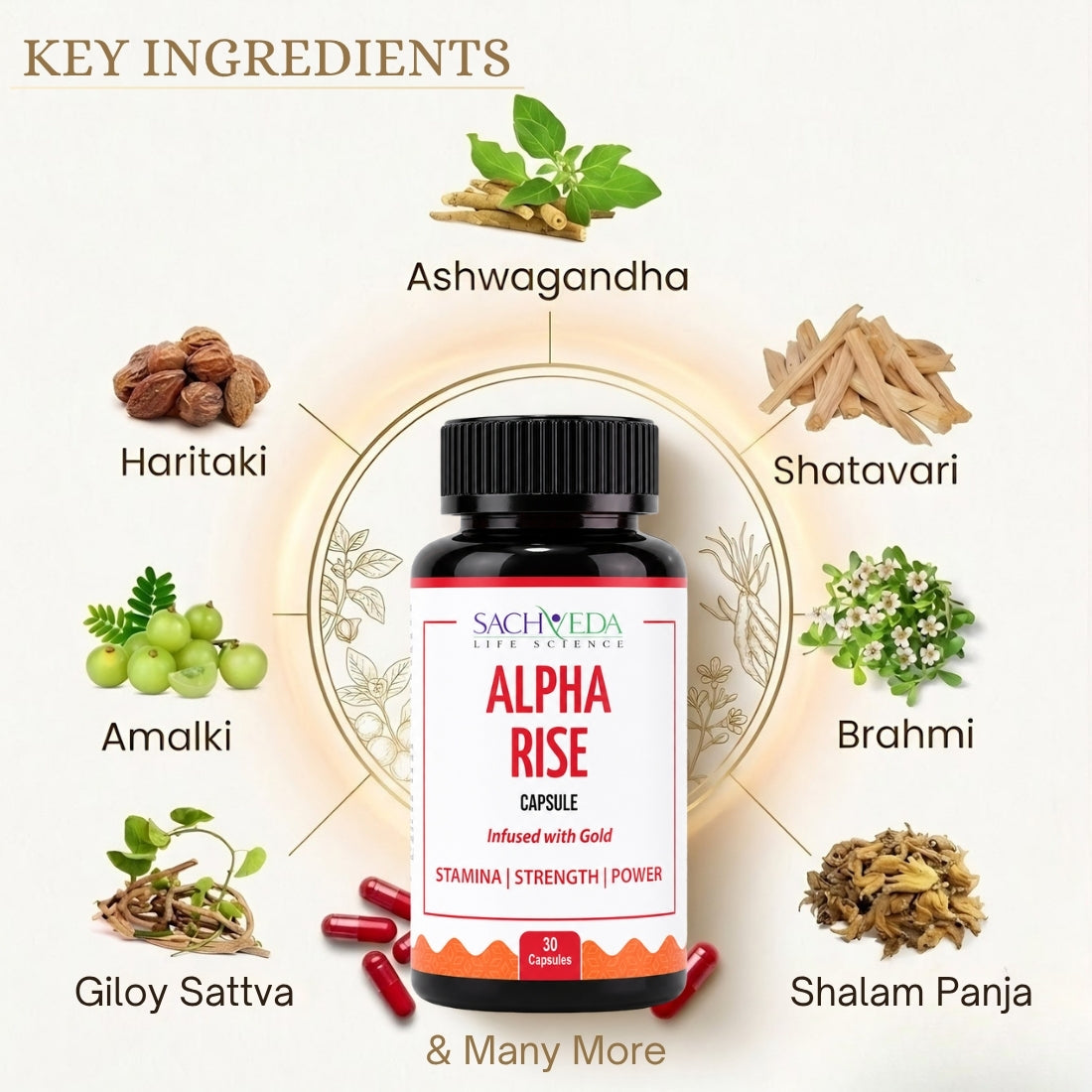 Alpha Rise Gold-Infused Ayurvedic Capsules | Strength, Vitality & Wellness Support | Buy1Get1 Free