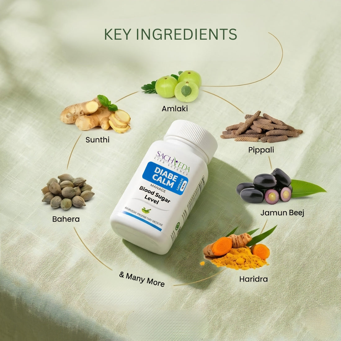 Sachveda Diabe Calm Capsules – Ayurvedic Support for Type 2 Diabetes | Buy1Get1 Free