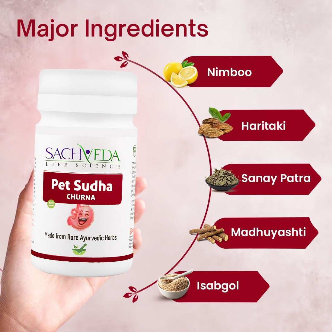 Sachveda Pet Sudha Churna | Ayurvedic Relief for Gas, Constipation & Digestion | Buy1Get1 Free