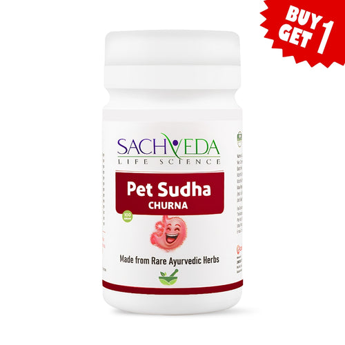 Sachveda Pet Sudha Churna | Ayurvedic Relief for Gas, Constipation & Digestion | Buy1Get1 Free